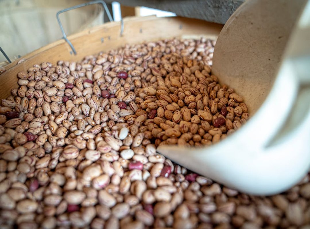 How Are Goinbeens Made