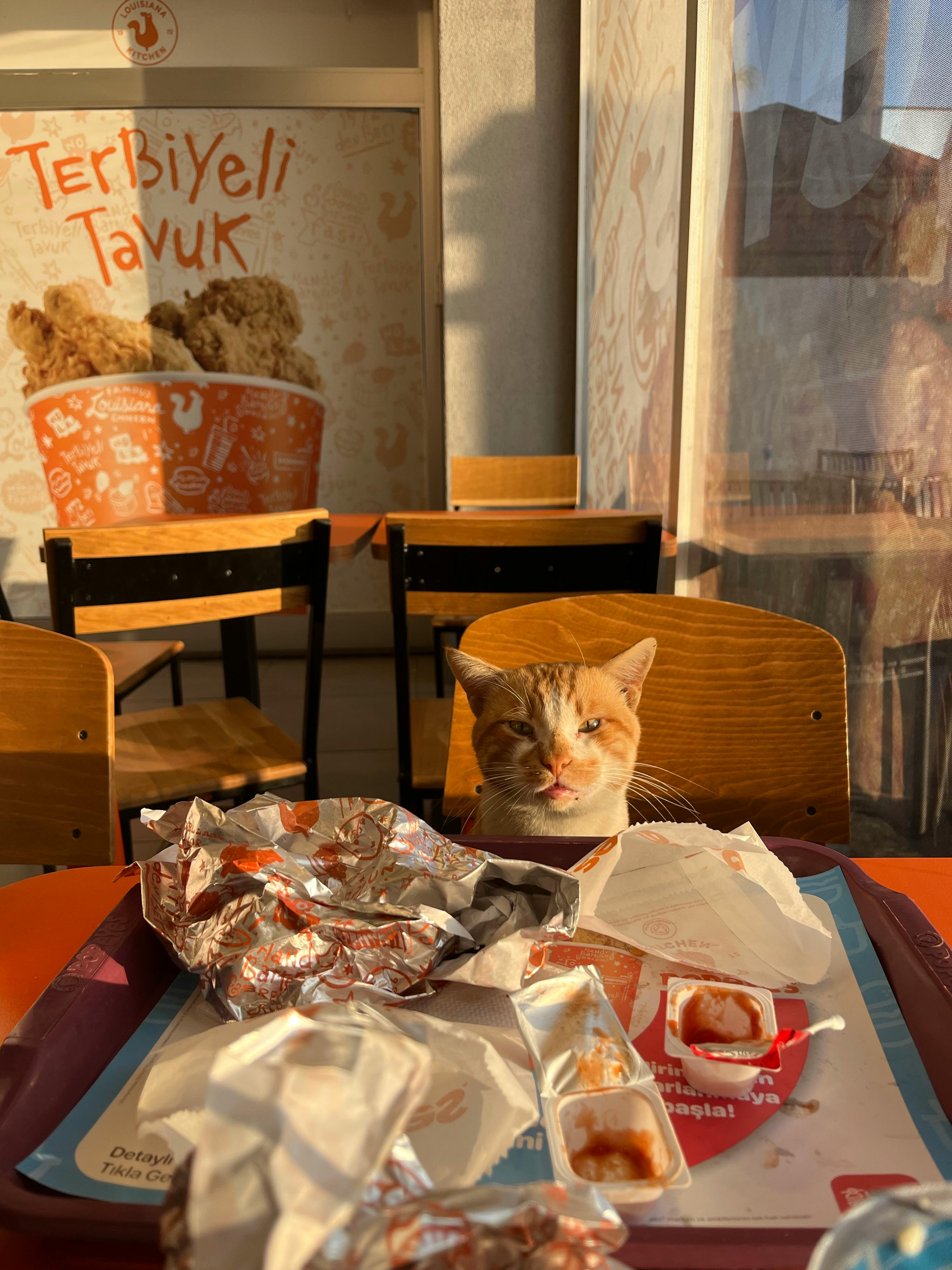 pexels-i-rem-cevik-978247792-29731745