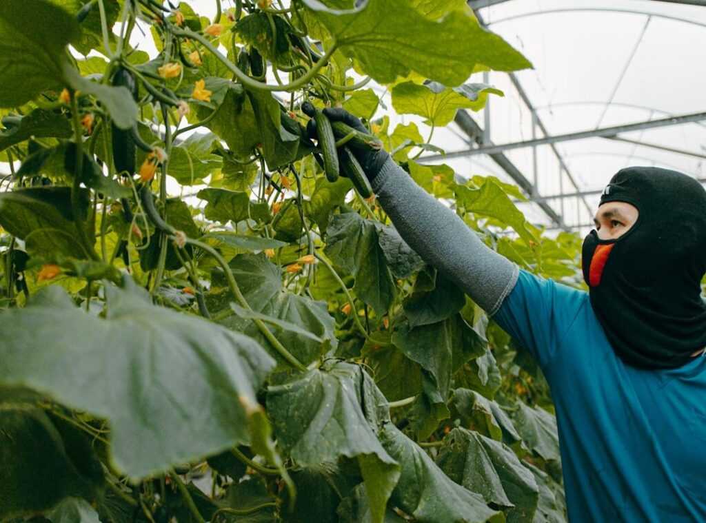 food sustainability trends