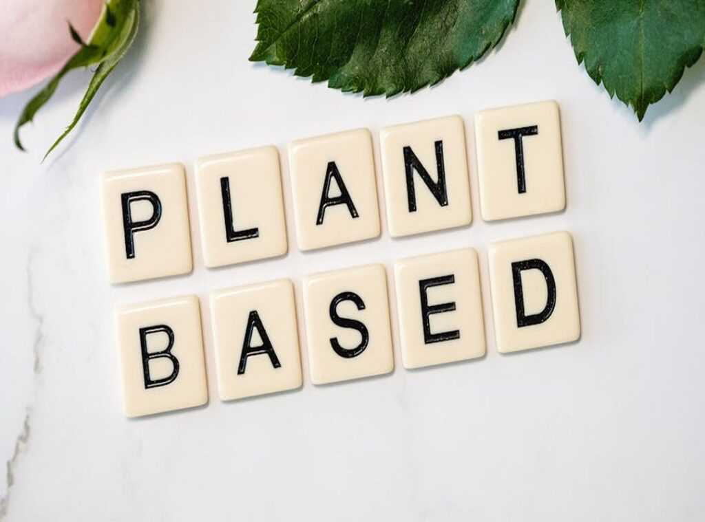 plant-based diets explained