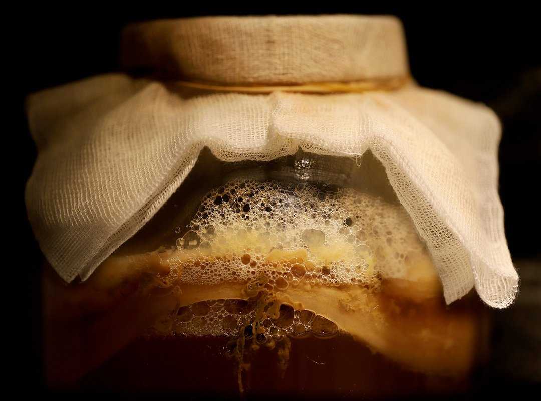 science fermentation