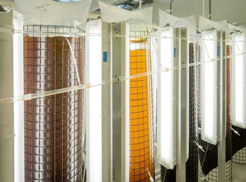 science fermentation